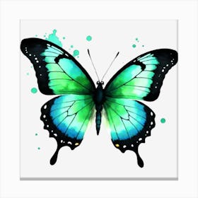 Butterfly 105 Canvas Print