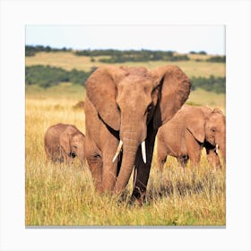 Elephants In The Savannah Canvas Print