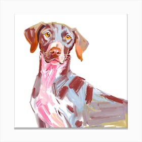 German Shorthaired Pointer 02 Canvas Print