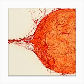 Blood Vessels Canvas Print