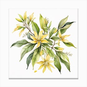 Sprig of ylang-ylang 5 Canvas Print