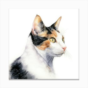 Japanese Bobtail Cat Portrait 2 Canvas Print