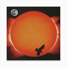 The Sun, The Moon and The Lost Bird Canvas Print