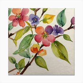 Apricot Blossoms Canvas Print