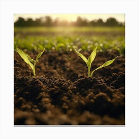 Two Young Plants In A Field Canvas Print