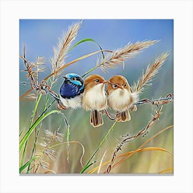 Three Birds 2 Canvas Print