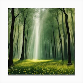 Forest With Sunlight Canvas Print