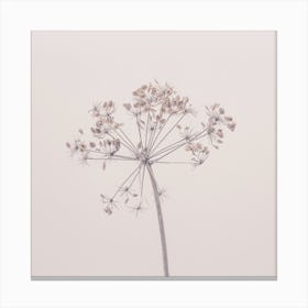 Beauty Of Nature Winter Mood Square Canvas Print