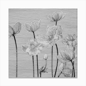 Anemones Canvas Print