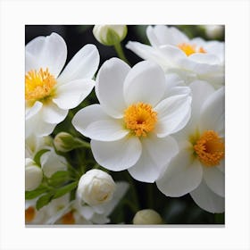 White Flowers Canvas Print