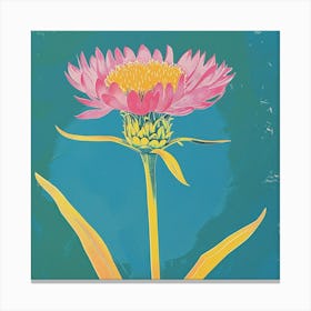 Cornflower 2 Square Flower Illustration Canvas Print