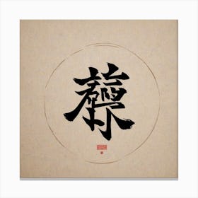 Chinese Calligraphy 3 Canvas Print