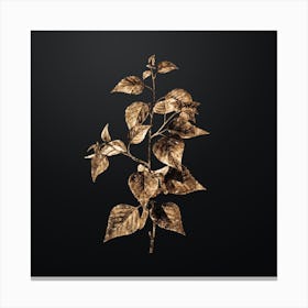 Gold Botanical Black Birch on Wrought Iron Black n.0112 Canvas Print