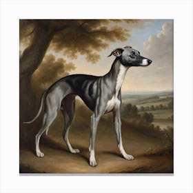 A stout whippet Canvas Print