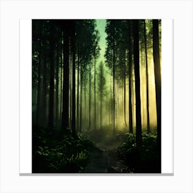 Forest Path Canvas Print