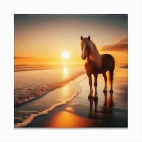 Horse On The Beach At Sunset 1 Canvas Print