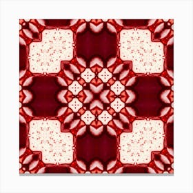 Red And White Decor Canvas Print