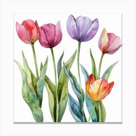 Watercolor Tulips 2 Canvas Print