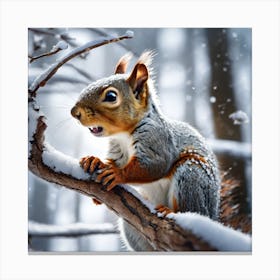 Squirrel In The Snow 7 Canvas Print