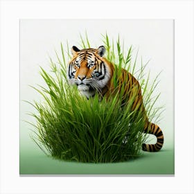 Tiger In Grass Canvas Print