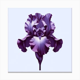 Purple Iris This botanical illustration is a celebration of nature’s perfection, offering a visual feast for the eyes and a soul-soothing presence in any space it adorns. Its vibrant blue hues and intricate details are a testament to the timeless allure of floral subjects in art, making it an ideal gift for plant lovers or a stunning addition to gallery walls seeking a touch of natural drama. The 'Blue Hyacinth Harmony' is not just a piece of art; it's a statement of nature's intricate beauty captured in a moment of full bloom, a masterpiece that will keep the essence of spring alive all year round. Add this captivating piece to your collection and let the elegance of hyacinth flowers transform your space into a sanctuary of peace and beauty. Canvas Print