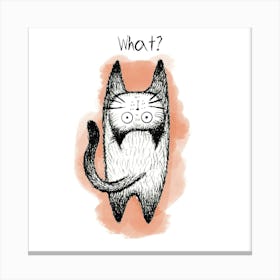 What? Canvas Print