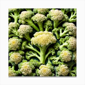Florets Of Broccoli 22 Canvas Print