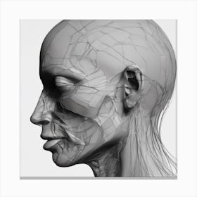 Human Head 2 Canvas Print