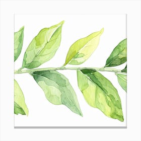 Watercolor Leaf Canvas Print