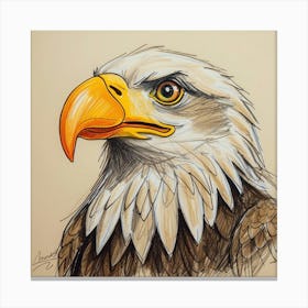 Bald Eagle 20 Canvas Print