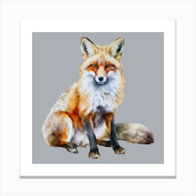 Red Fox Canvas Print