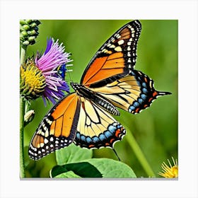 Butterflies Insect Lepidoptera Wings Antenna Colorful Flutter Nectar Pollen Metamorphosis (12) 1 Canvas Print