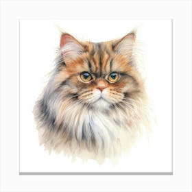 British Longhair Cat Portrait 2 Canvas Print