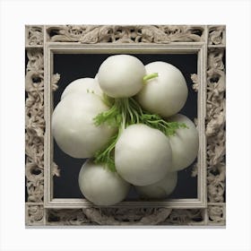 Radishes 1 Canvas Print