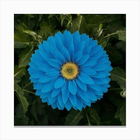 Blue Garden Art Illustration Photo Kbdnldektg Lzlh0 Oe3hw Oykjzplerrmlovh7ohtukq Canvas Print