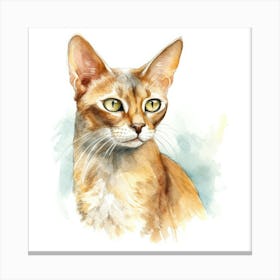 Abyssinian Cat Portrait 3 Canvas Print