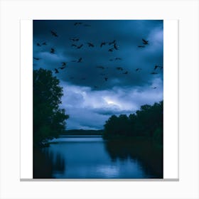 Dark Sky With Birds Canvas Print