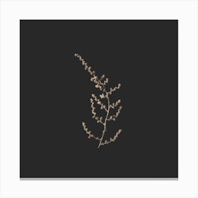 Delicate Golden Botanicals On Black Square Canvas Print