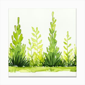 Watercolor Of Green Grass Canvas Print