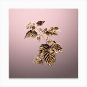 Gold Botanical Raspberry on Rose Quartz Canvas Print