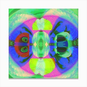 Psychedelic Owl 1 Canvas Print