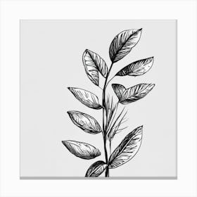 Leaf On A Branch Canvas Print