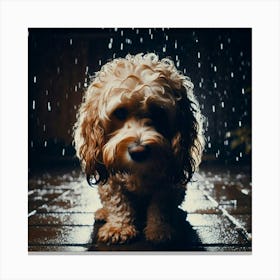 Dog In The Rain 5 Canvas Print