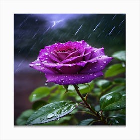 Purple Rose In Rain Canvas Print