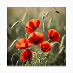 Red Poppies Canvas Print