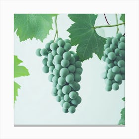 Grapes On A Vine Canvas Print