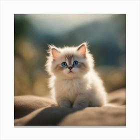 Cute Kitten With Blue Eyes 1 Canvas Print