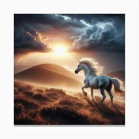 White Horse Running At Sunset Canvas Print
