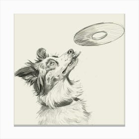 Dog Catching Frisbee Canvas Print