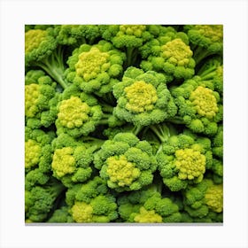 Close Up Of Green Broccoli 3 Canvas Print